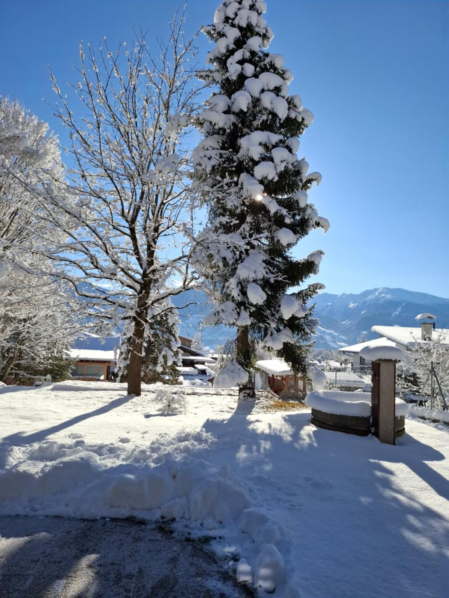 Appartement Steinbock